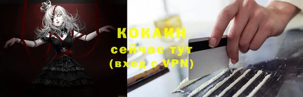 Альфа ПВП Богородск