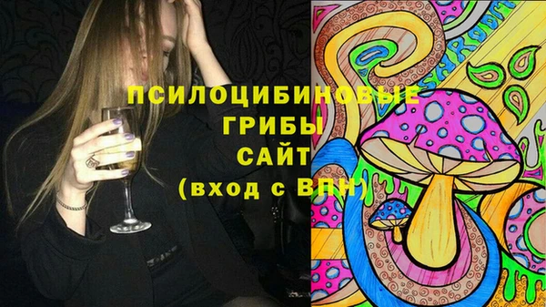 Альфа ПВП Богородск