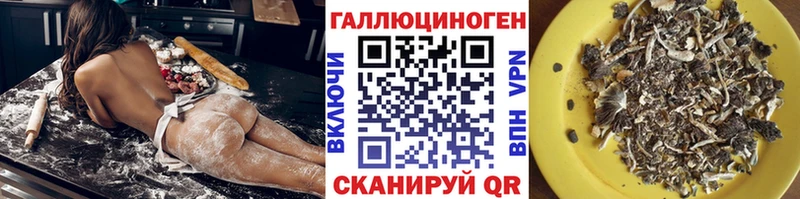 omg как войти площадка клад Псилоцибиновые грибы Cubensis Реутов